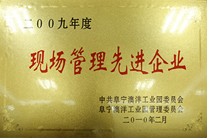 2009年度現(xiàn)場管理先進(jìn)企業(yè)